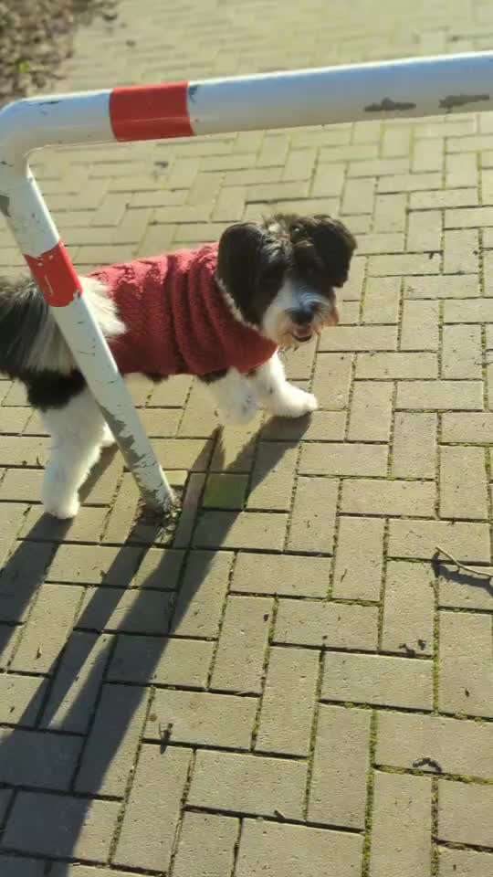 Trick Challenge ABC-Beitrag-Bild