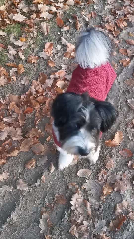 Trick Challenge ABC-Beitrag-Bild