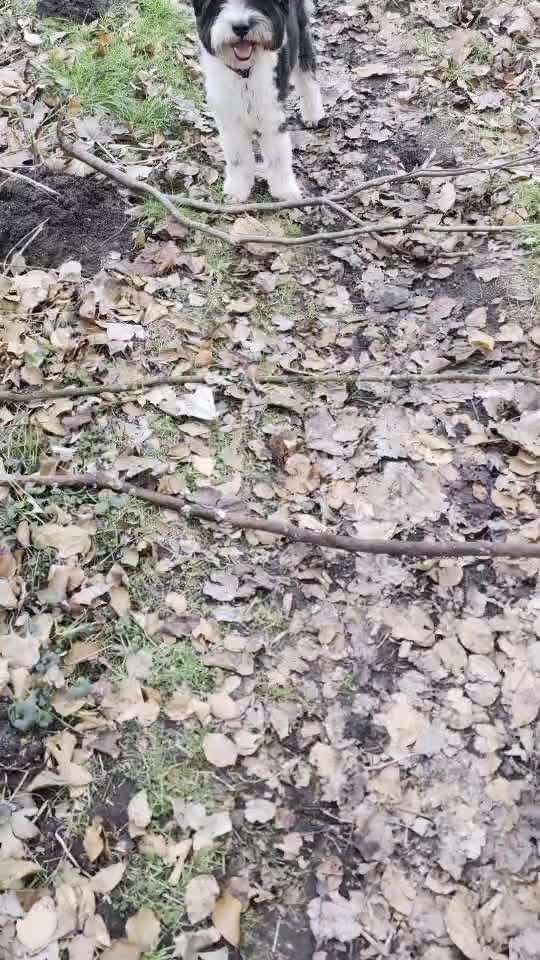 Was hat euch heute gefreut?-Beitrag-Bild