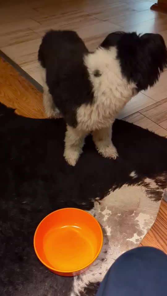 Trick Challenge ABC-Beitrag-Bild