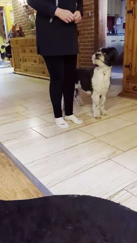 Trick Challenge Nr. 29 ,,TWIST"-Beitrag-Bild