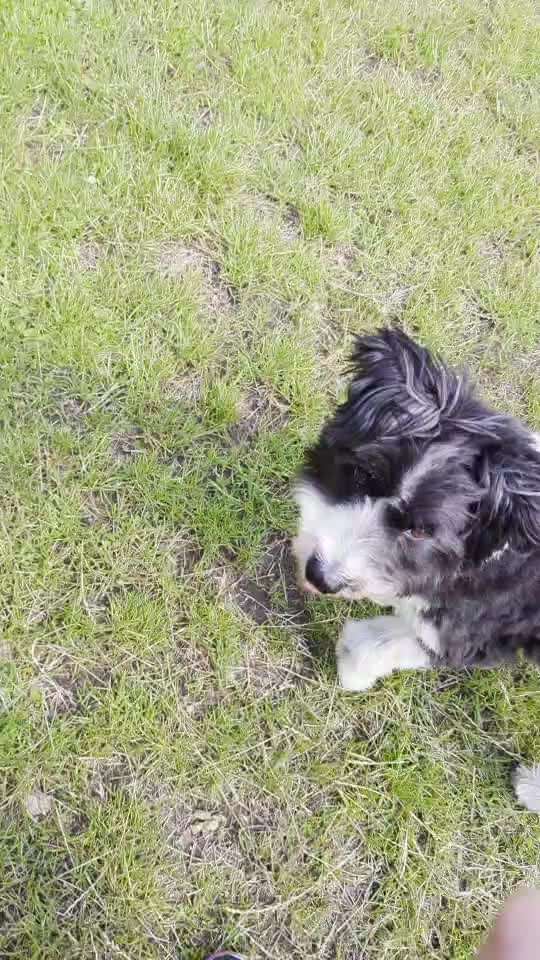 54. Impulskontrollchallenge  PAUSE MACHEN !-Beitrag-Bild