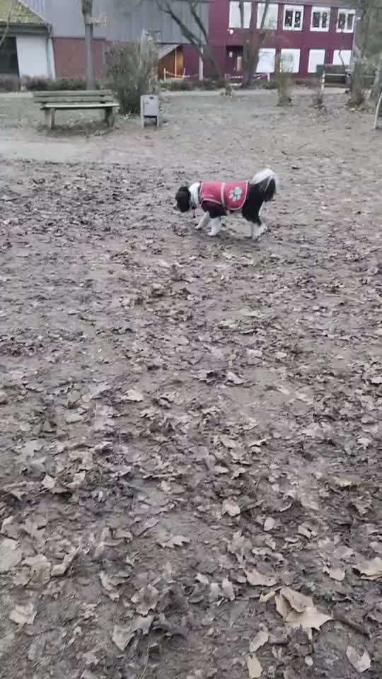 80. Trickspiel Balancieren-Beitrag-Bild