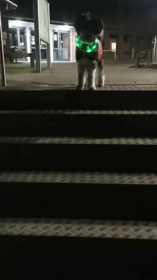 Trick Challenge ABC-Beitrag-Bild