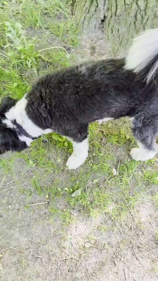 TRICK CHALLENGE NUMMER 30 " ZURÜCK "-Beitrag-Bild