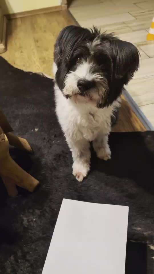 Trickchallenge Nr. 84

"Etwas öffnen "-Beitrag-Bild