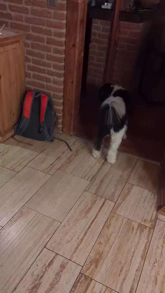 Trick Challenge ABC-Beitrag-Bild