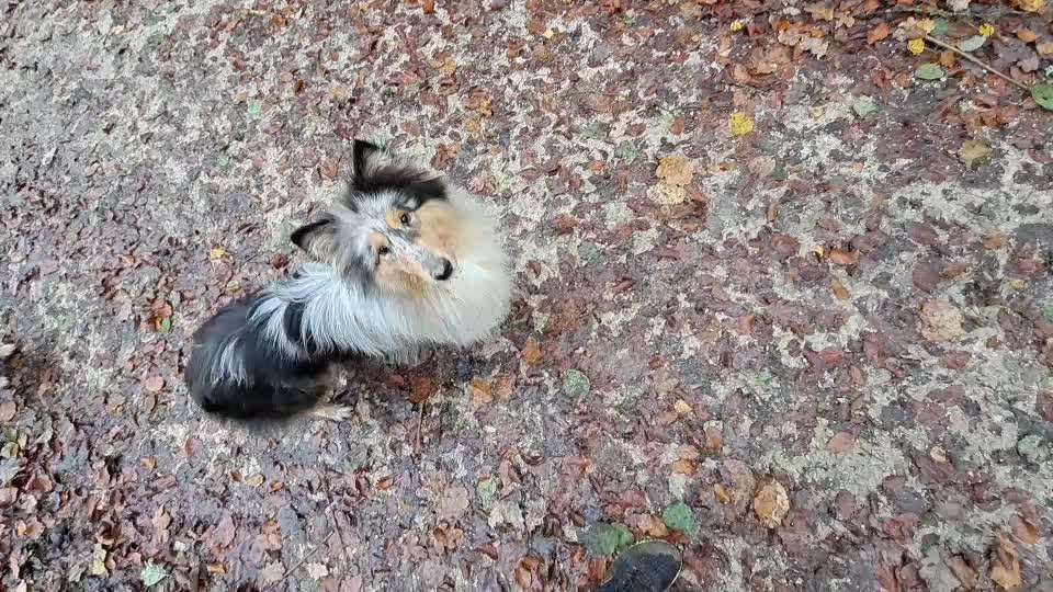 Trick Spiel - ich packe meinen 10. Koffer-Beitrag-Bild