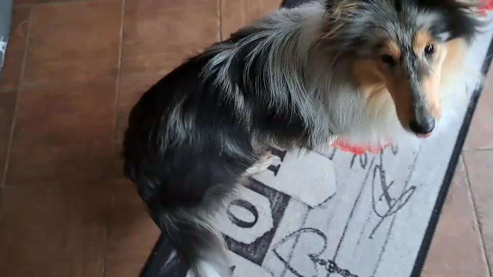 Trick Spiel - ich packe meinen 11. Koffer-Beitrag-Bild