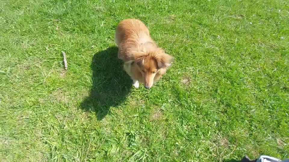 TRICK CHALLENGE NR. 10-Beitrag-Bild