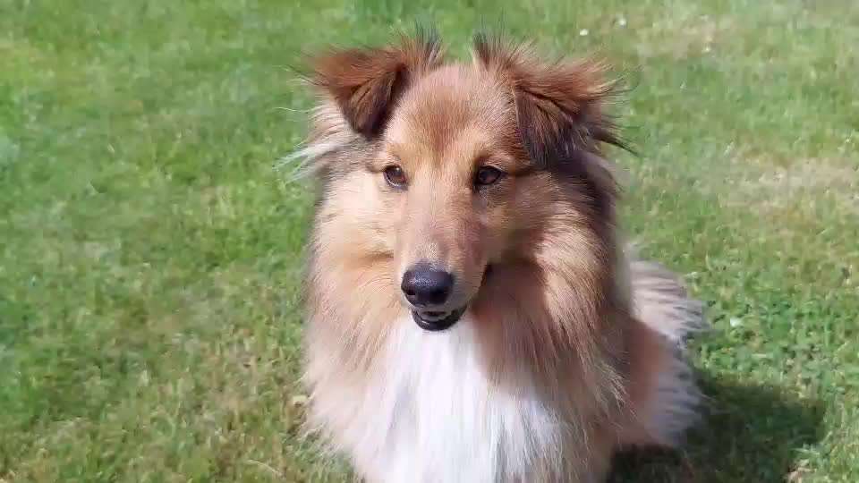 FUN AUFGABEN TOUR-Beitrag-Bild