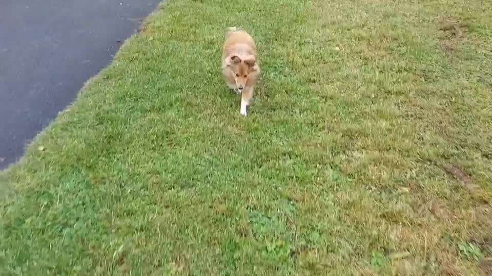 𝕋ℝ𝕀ℂ𝕂 ℂℍ𝔸𝕃𝕃𝔼ℕ𝔾𝔼 ℕℝ. 𝟚-Beitrag-Bild