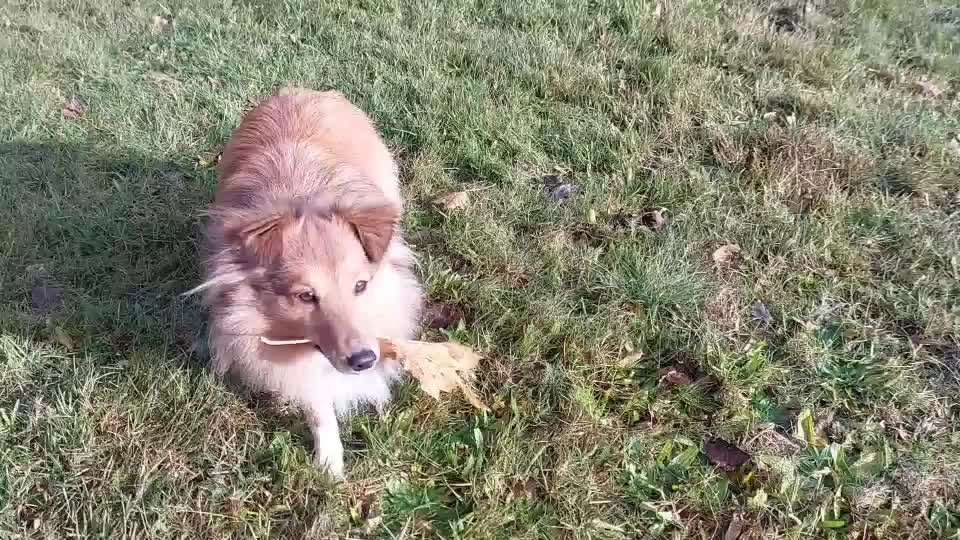 𝕋ℝ𝕀ℂ𝕂 ℂℍ𝔸𝕃𝕃𝔼ℕ𝔾𝔼 ℕℝ. 𝟙-Beitrag-Bild