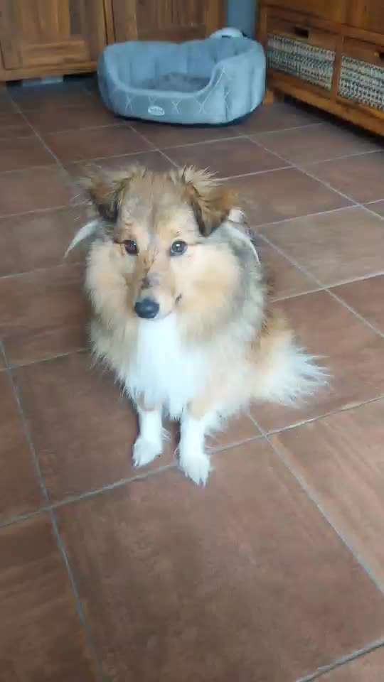 Trick Challenge 13 - Etwas Halten-Beitrag-Bild