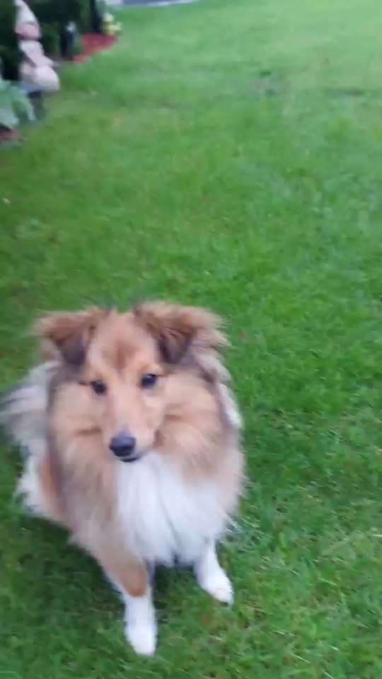 FUN AUFGABEN TOUR-Beitrag-Bild