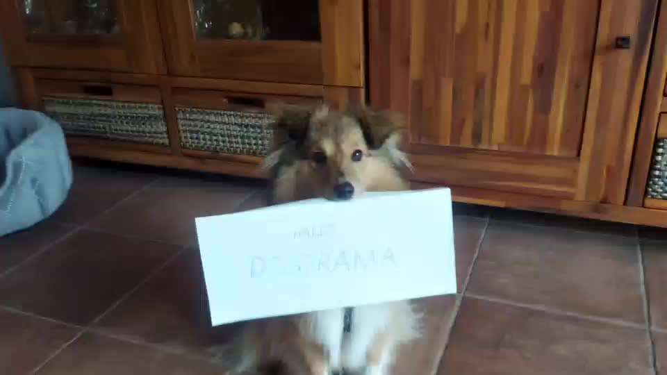 Trick Challenge 13 - Etwas Halten-Beitrag-Bild