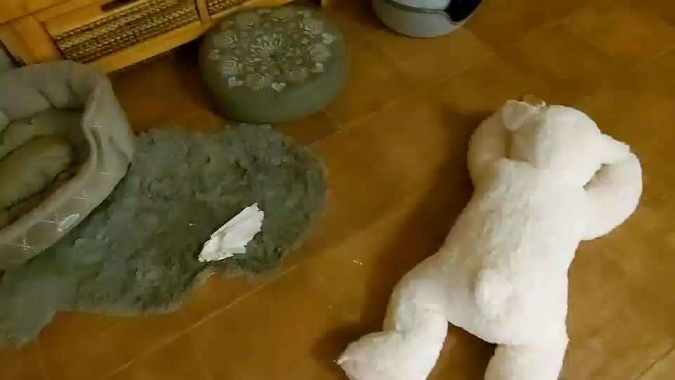 Zeig mir, dass du mit einem hund zusammenlebst....-Beitrag-Bild