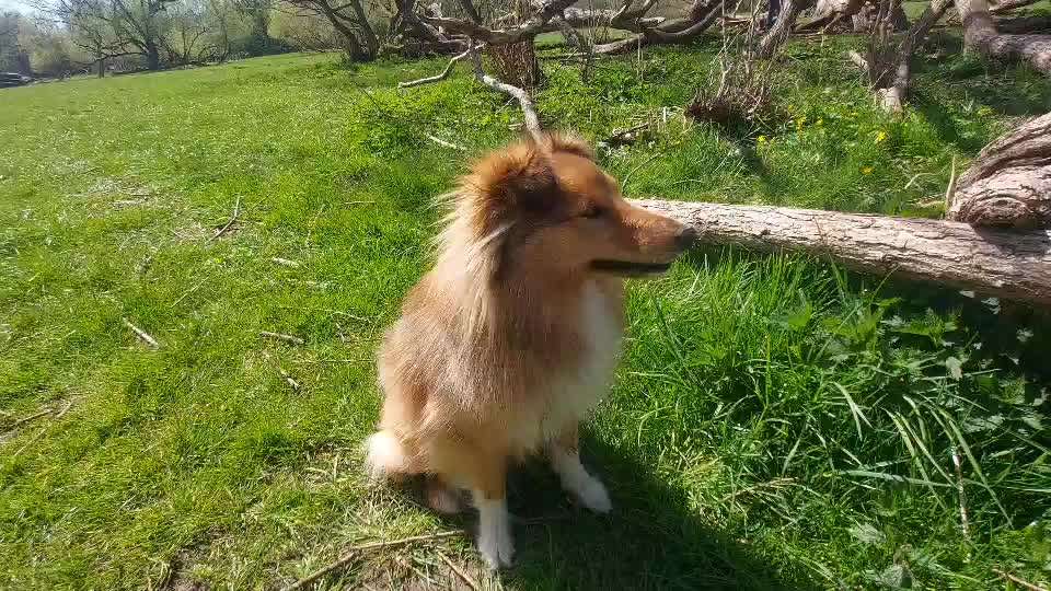 TRICK CHALLENGE NR. 10-Beitrag-Bild