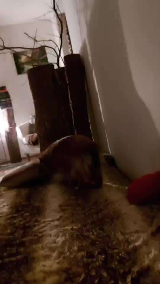 Video Challenge Nr. 5 - aufwachen/aufstehen-Beitrag-Bild