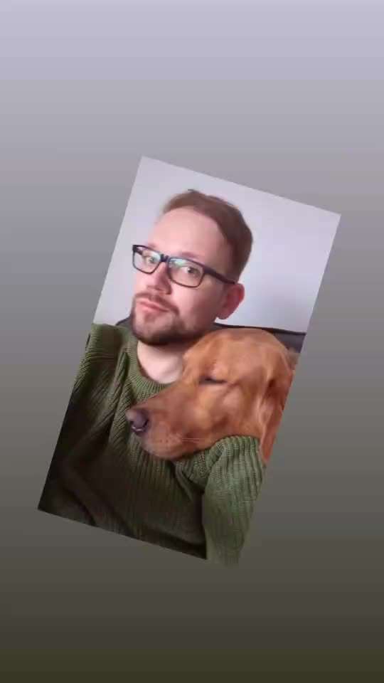 Golden Retriever-Beitrag-Bild