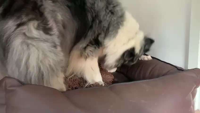 18. Video-Challenge "David gegen Goliath"-Beitrag-Bild