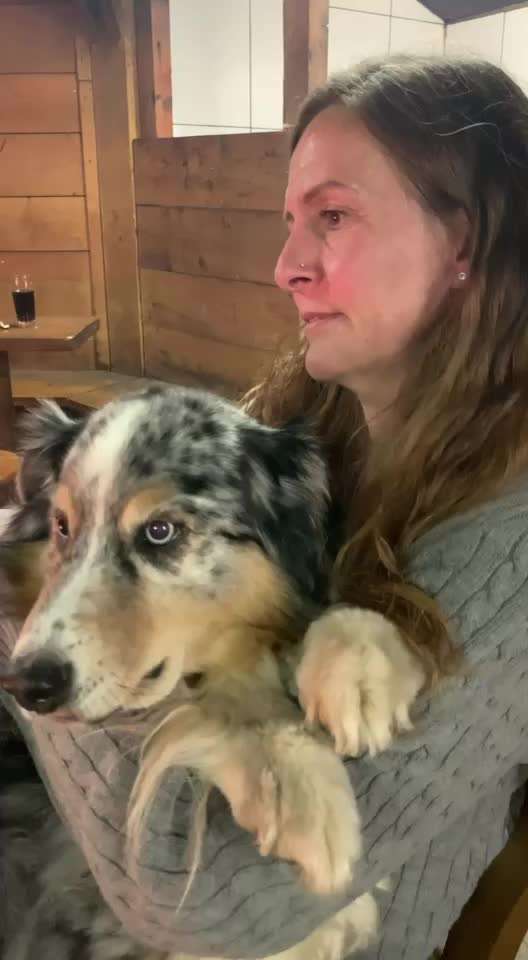 Video-Challenge Nr. 10
Der umsorgte Hund-Beitrag-Bild