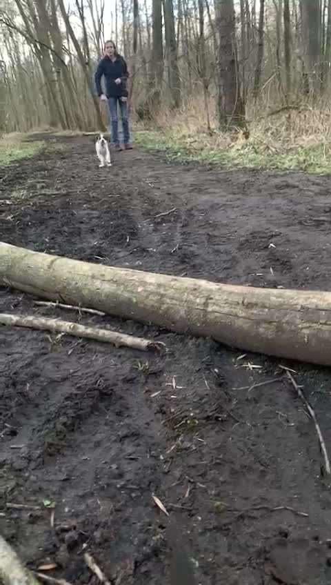 15. Video Challenge.  In SloMo die Welt erkunden!-Beitrag-Bild