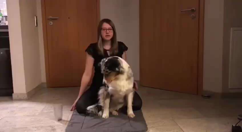 46. Video Challenge - Trainingserfolg-Beitrag-Bild