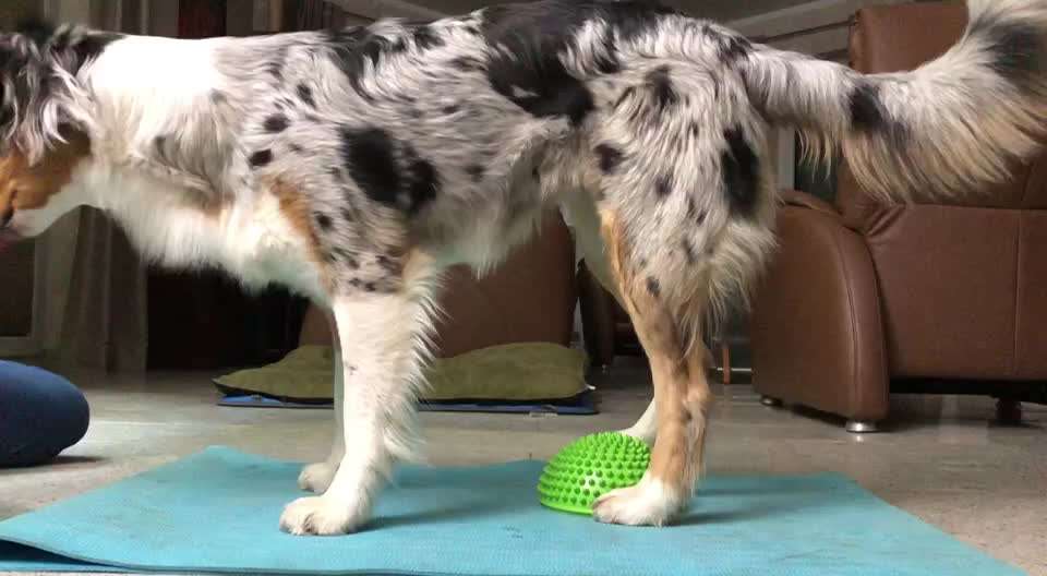 geistige Auslastung! Was macht ihr so!-Beitrag-Bild