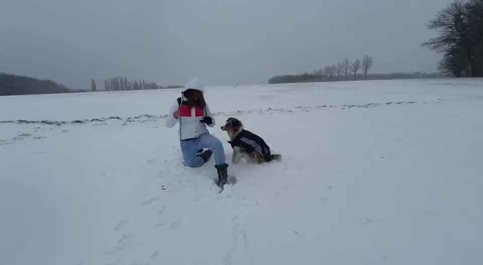 Trickdogging-Beitrag-Bild