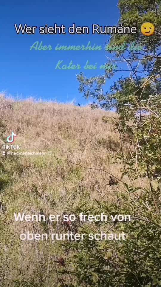 Video Challenge Nr.6
Auf den Spuren der Freiheit🐾🐾-Beitrag-Bild