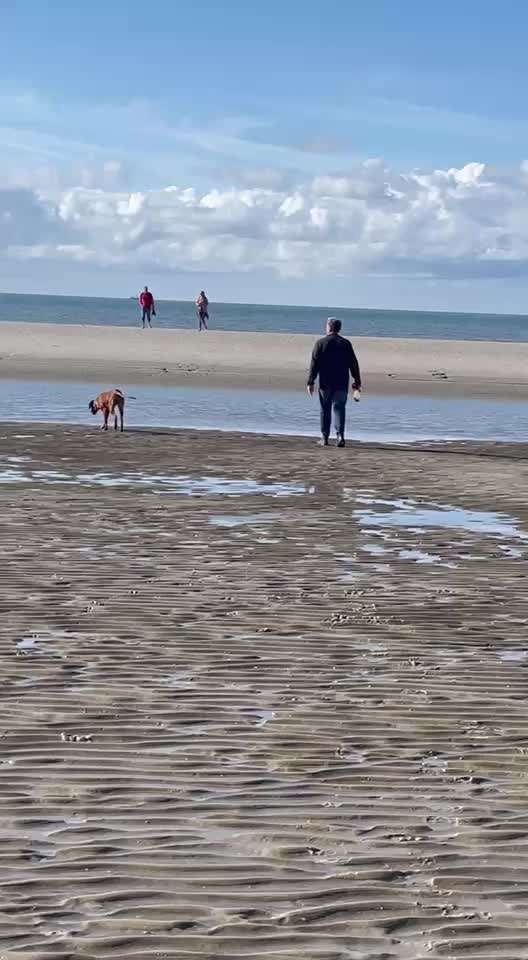 Der allerbeste Urlaub für Hund und Mensch-Beitrag-Bild