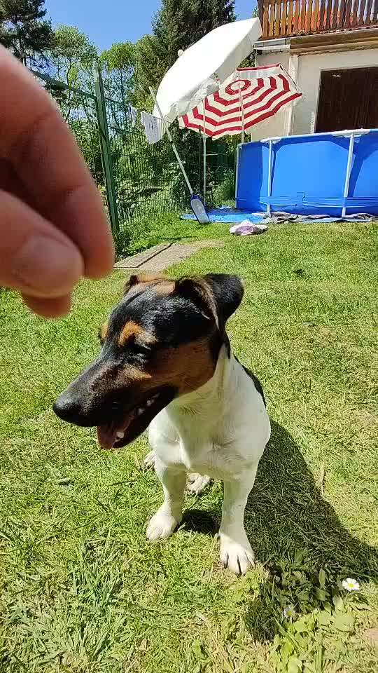 Trick Challenge Nr. 12-Beitrag-Bild