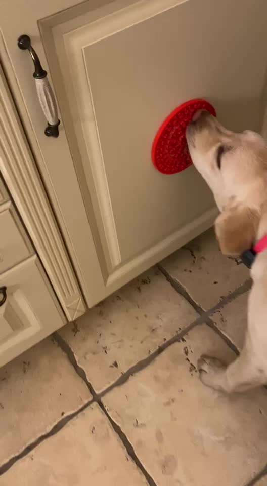 Leckmatten-Beitrag-Bild