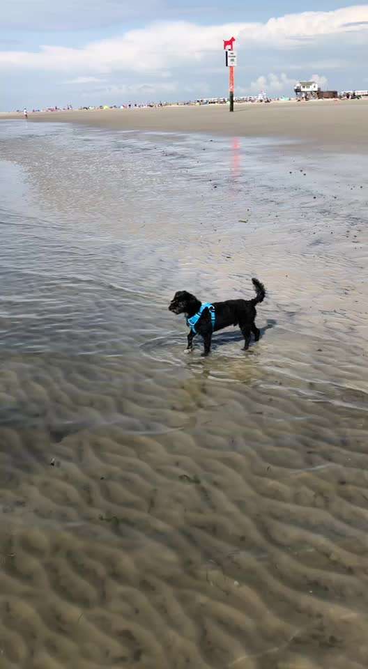 Eure Strandbilder :)-Beitrag-Bild