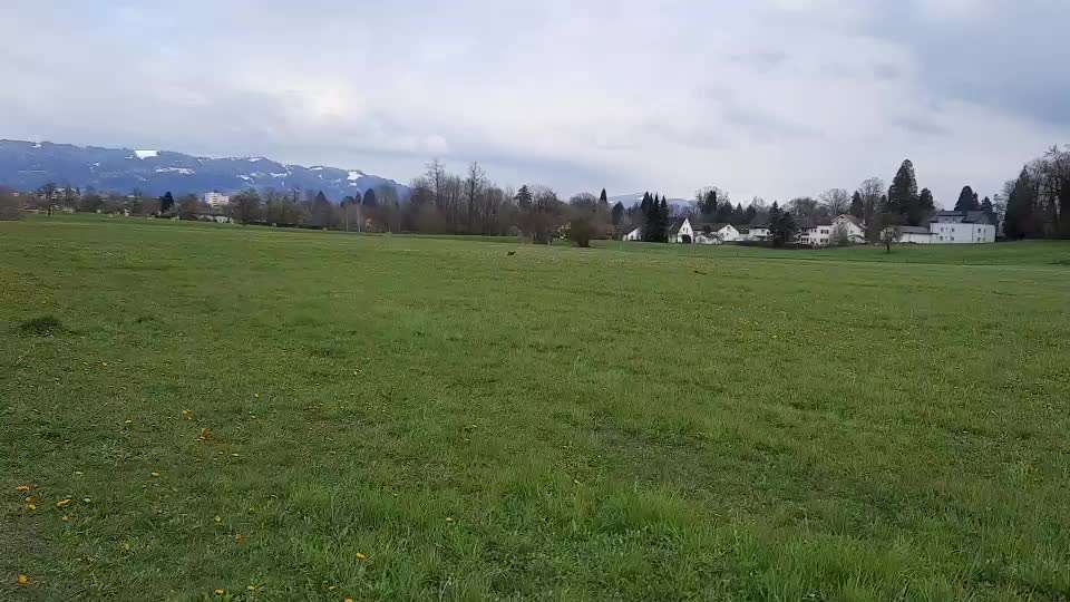 Windhunde - Treffen der besonderen Schönheiten
HERZLICH WILLKOMMEN-Beitrag-Bild