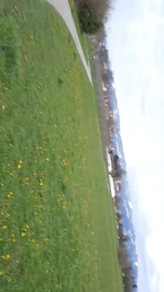 Windhunde - Treffen der besonderen Schönheiten
HERZLICH WILLKOMMEN-Beitrag-Bild