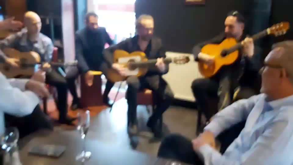 Rhodesian Ridgeback-Beitrag-Bild