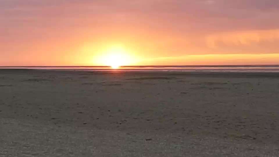 Rhodesian Ridgeback-Beitrag-Bild