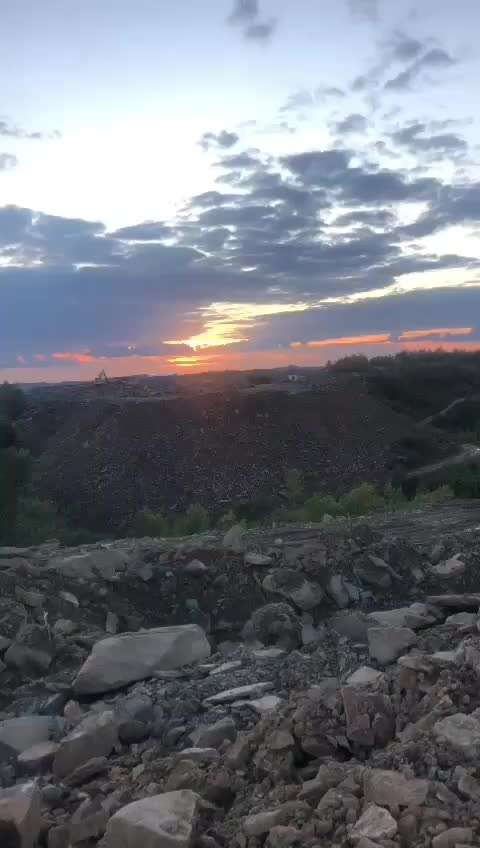 Rhodesian Ridgeback-Beitrag-Bild