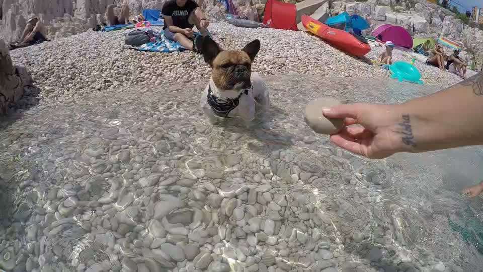 Schwimmen lernen-Beitrag-Bild