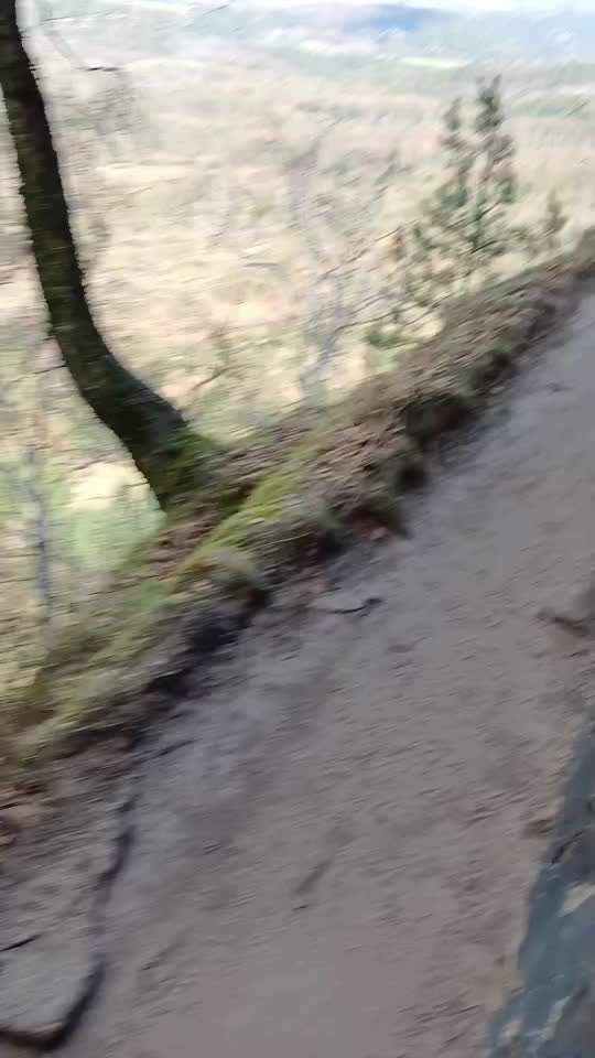 aktuelles Foto Gruppe Wandern und Outdoor