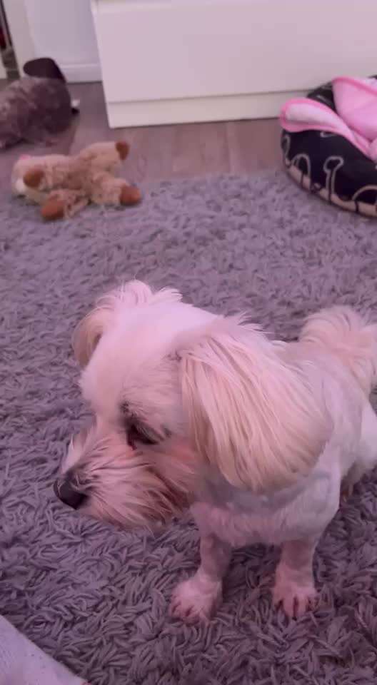 36. Trick-Challenge: Aufräumen!-Beitrag-Bild