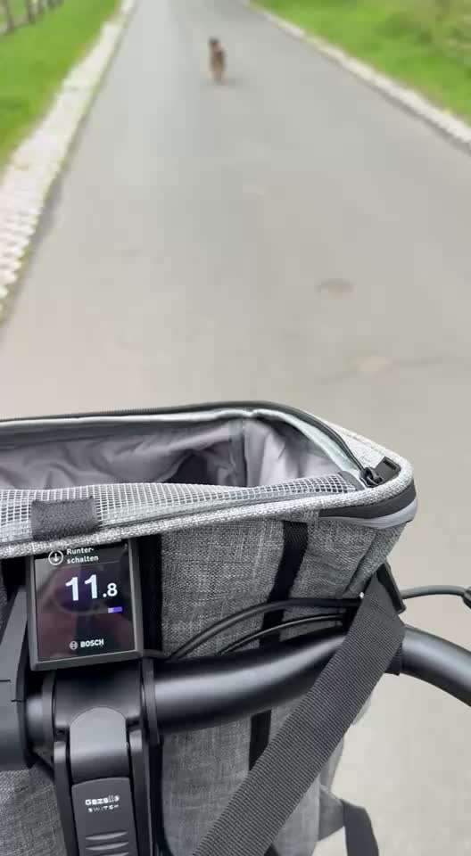 53. Impulskontroll übung- Bewegungsreize-Beitrag-Bild