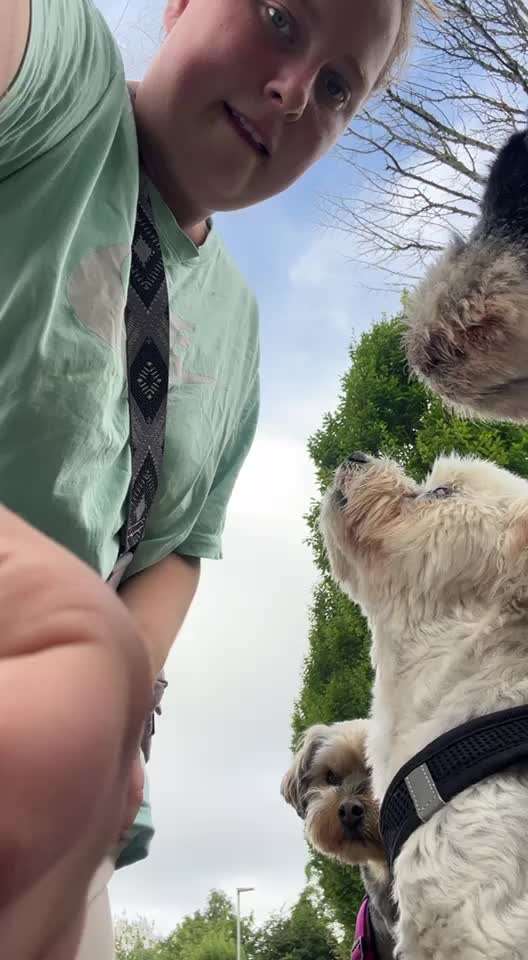 36. Impulskontrollübung-Beitrag-Bild