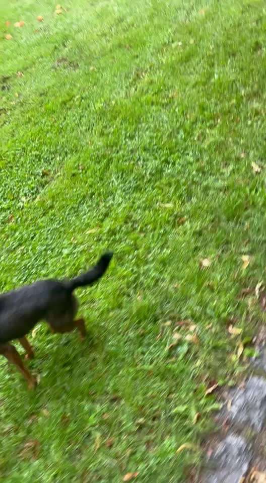 38. Gemeinsame impulskontrolleübung 
        " Ansprechbarkeit  "-Beitrag-Bild