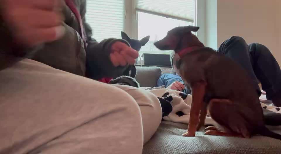 49. Impulskontrolle Challenge: Anziehen-Beitrag-Bild