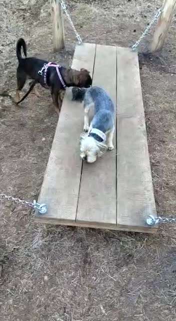 41. Handy Video Challenge-Beitrag-Bild