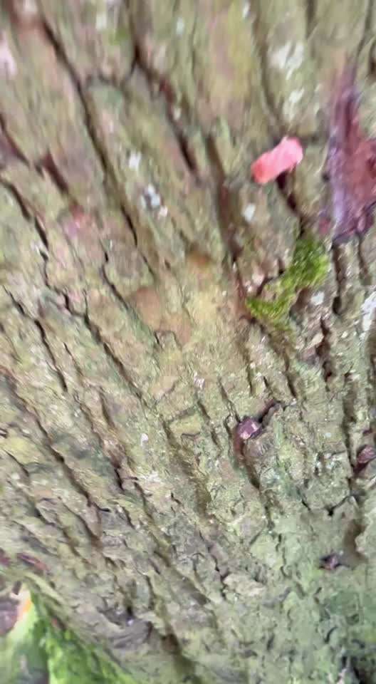 Beschäftigungsideen-Beitrag-Bild