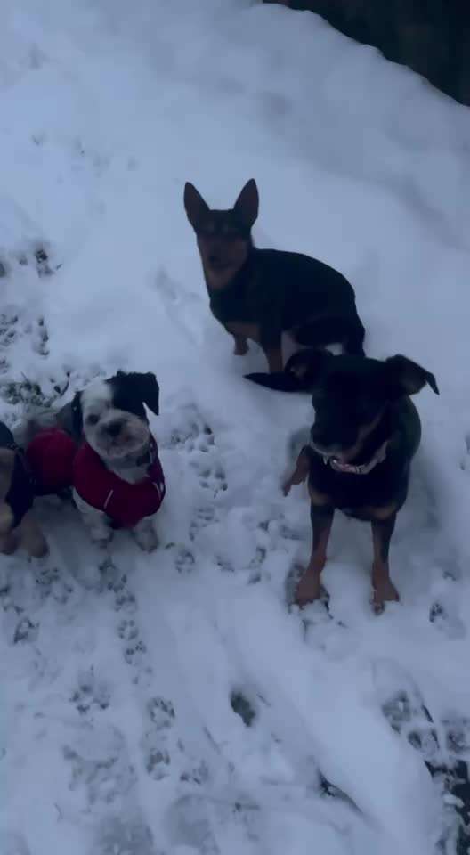 Gemeinsame Impulkontrolle Übung Nr.24-Beitrag-Bild